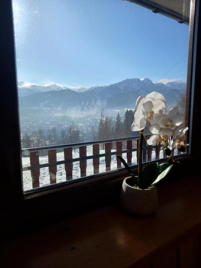 Niebianska Gran Apartment Zakopane Bagian luar foto