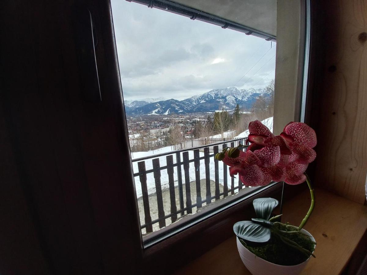 Niebianska Gran Apartment Zakopane Bagian luar foto