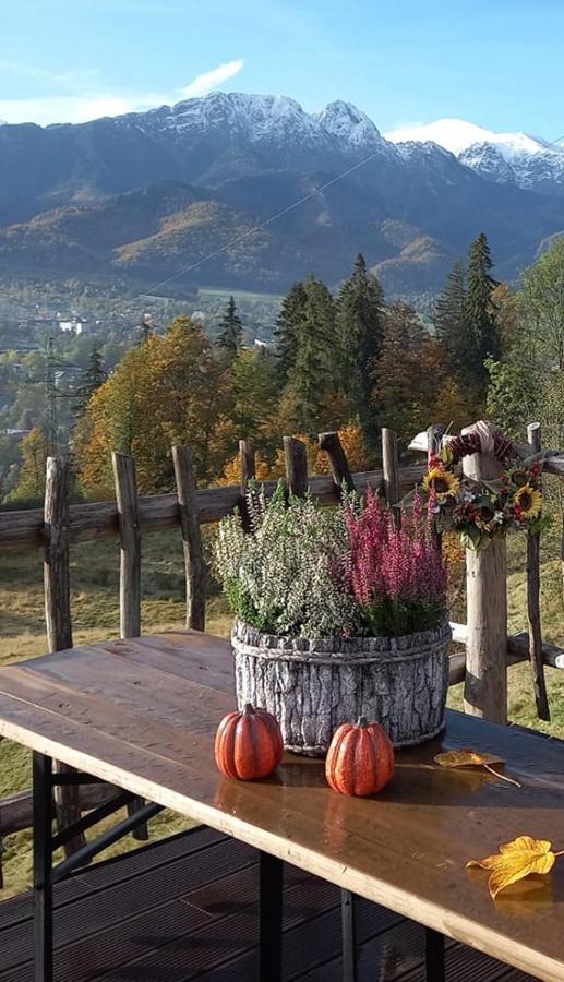Niebianska Gran Apartment Zakopane Bagian luar foto